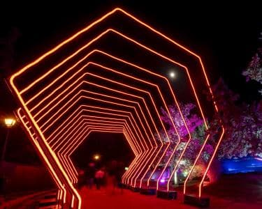 alt_im: MIRAMAR MAGIKOA - Sábado, 06/12